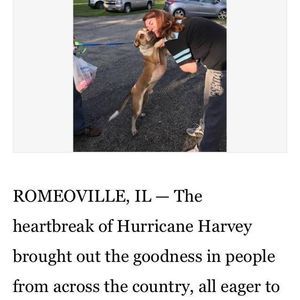 Meet your Posher, Maryann